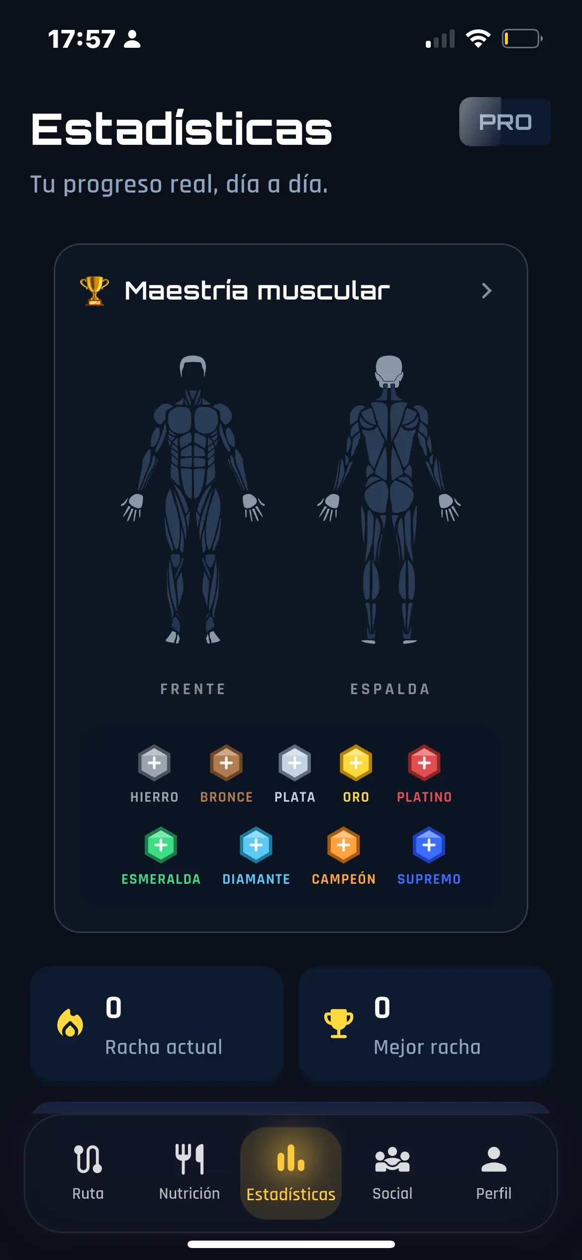 FitVerso - maestrías musculares