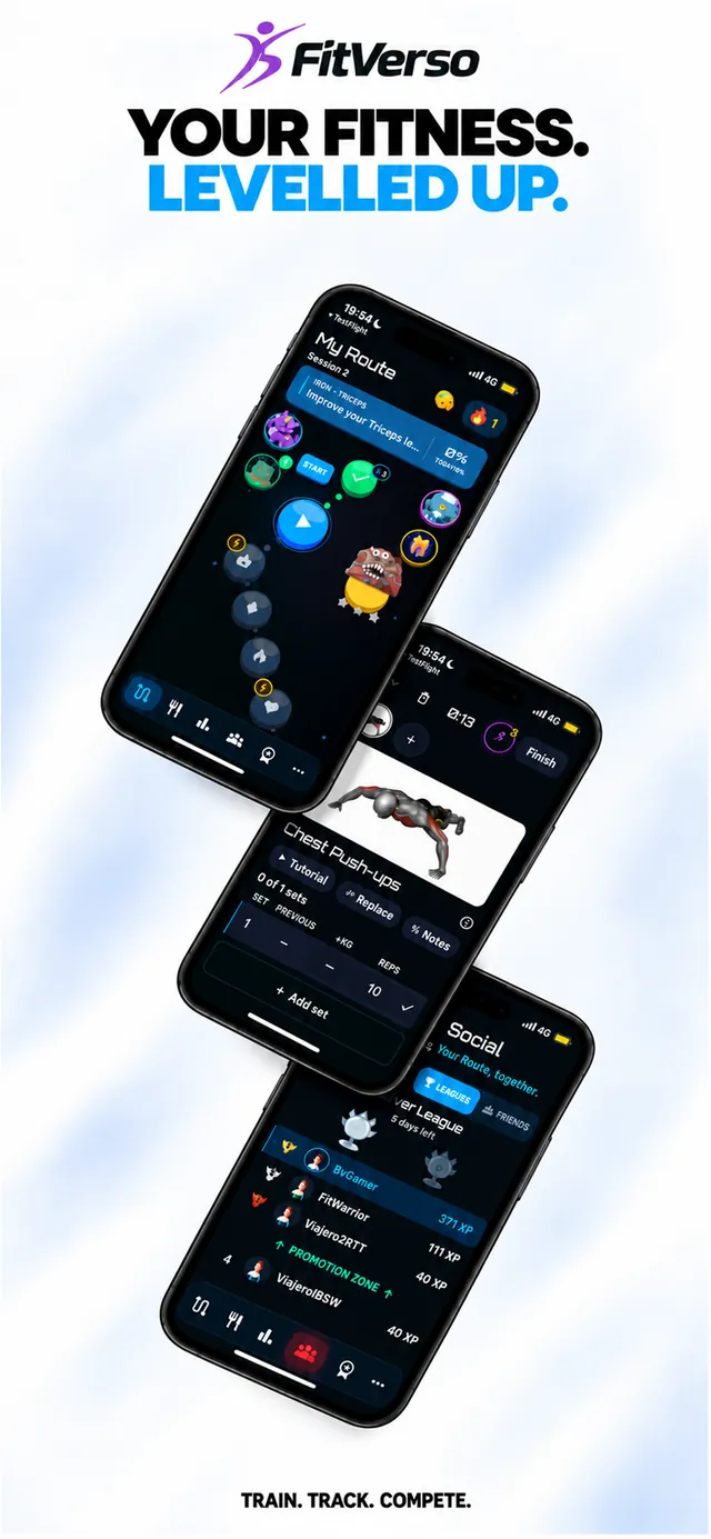 FitVerso overview